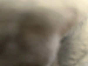 Ace23dc2ad6d64d1f9133022f950d14dcp.jpg